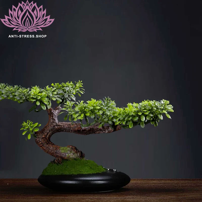 Bonsaï naturel zen