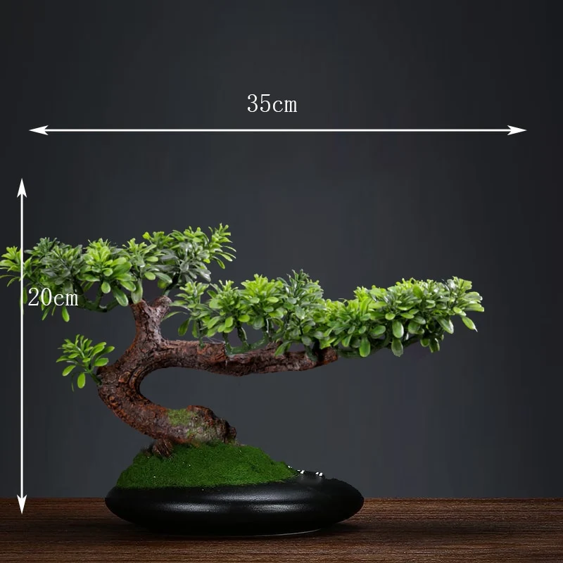Bonsaï naturel zen