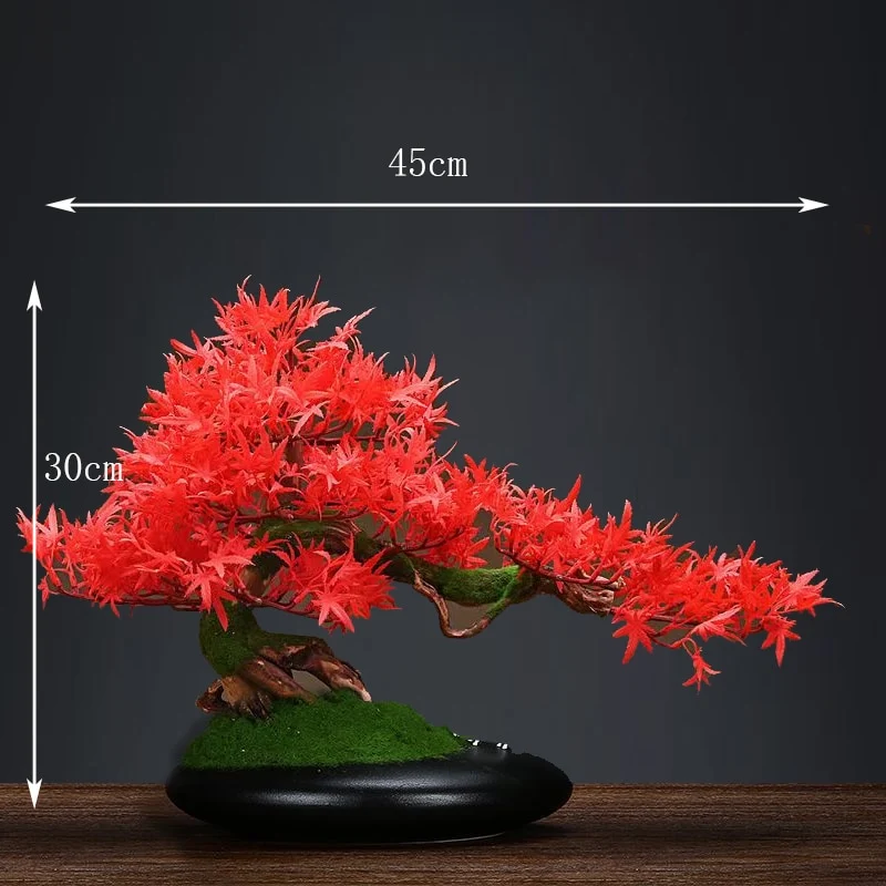 Bonsaï d'érable rouge en pot