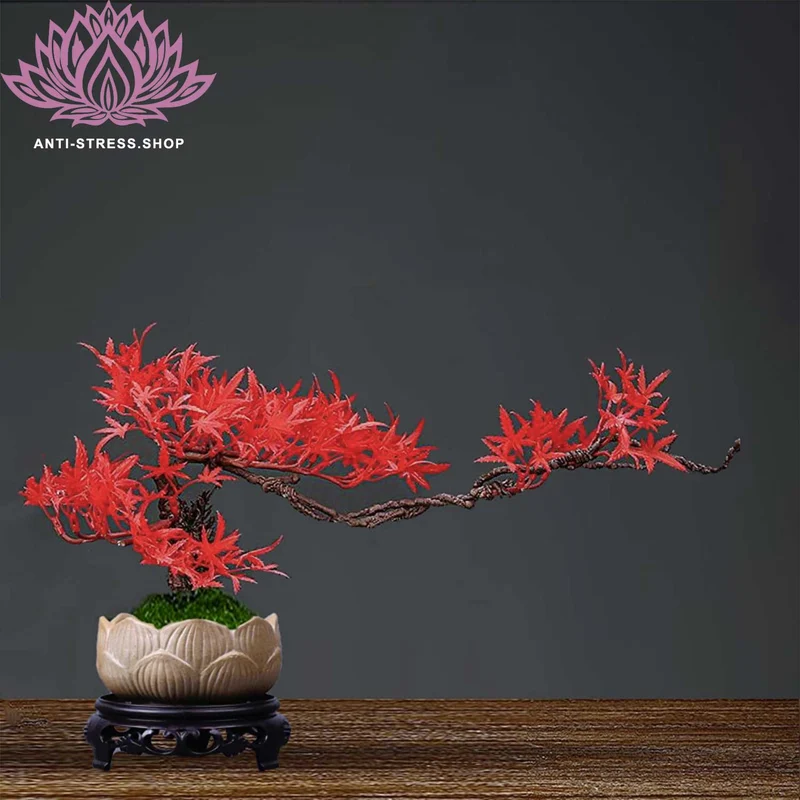 Bonsaï fleurs d'érable rouge
