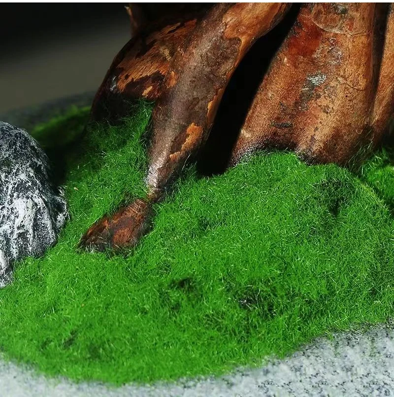 Bonsai artificiel en racines de bois