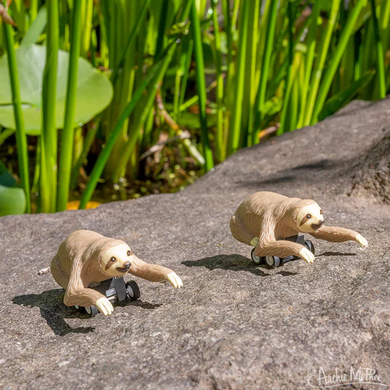 Racing Sloth - 1 pc