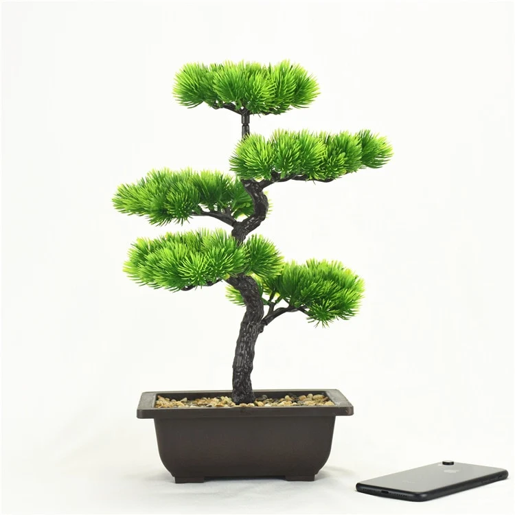Bonsaï zen déco