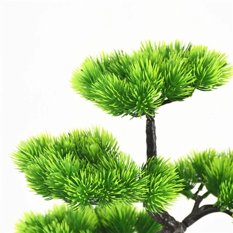 Bonsaï zen déco