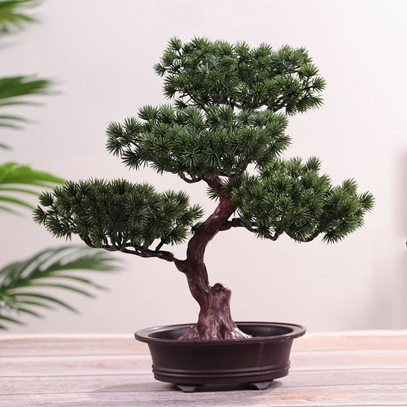 Bonsaï jardin japonais