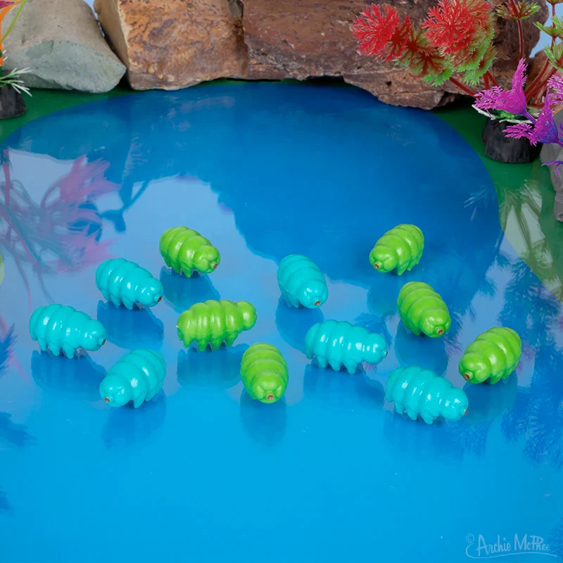 Itty Bitty Water Bears - set of 12-