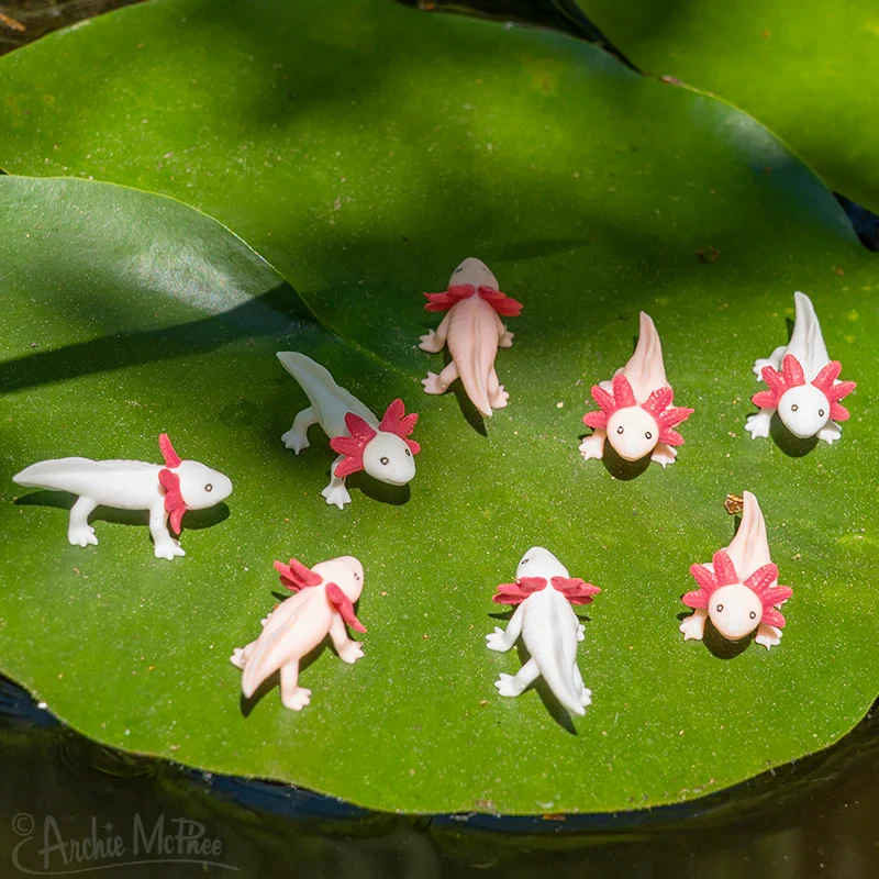 Itty Bitty Axolotls - set of 8