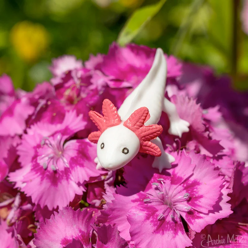 Itty Bitty Axolotls - set of 8