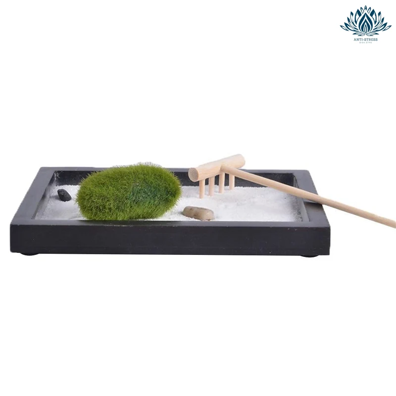 Jardin miniature zen