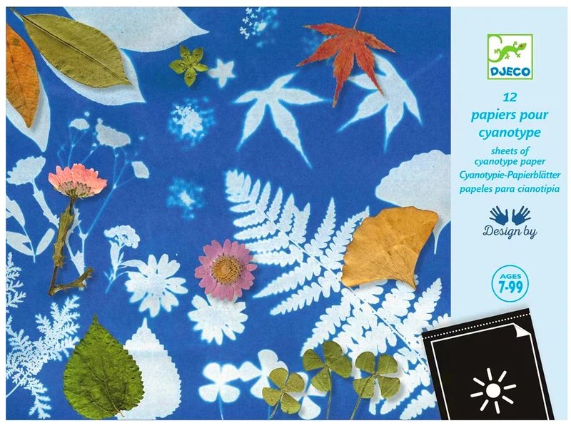 Cyanotype 12 papiers créatifs - Djeco