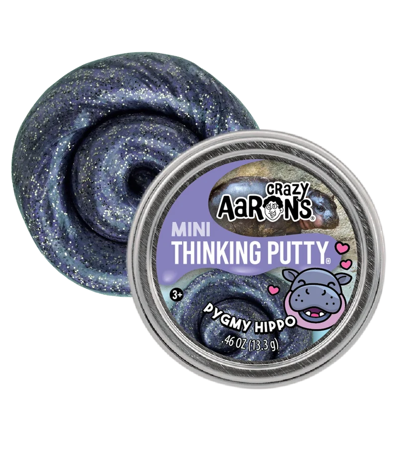 Crazy Aarons Trend Mini Tin Putty Assortment 2 in