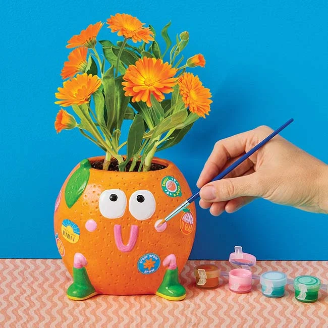 Paint Grow Orange