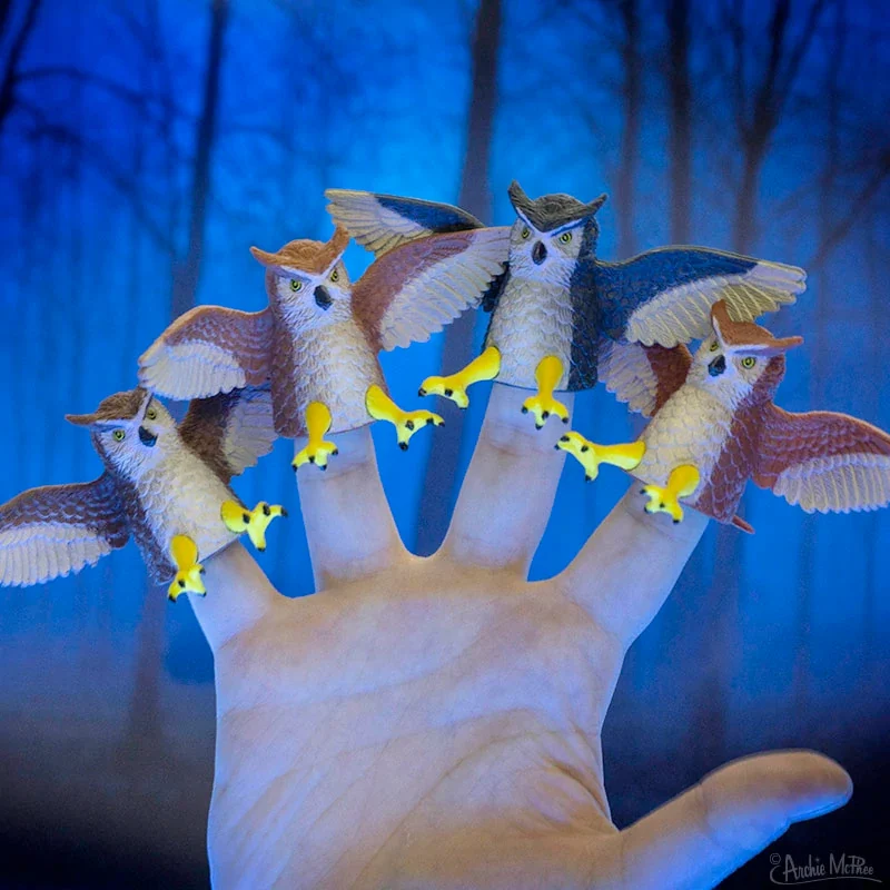 Finger Owl - 1 owl