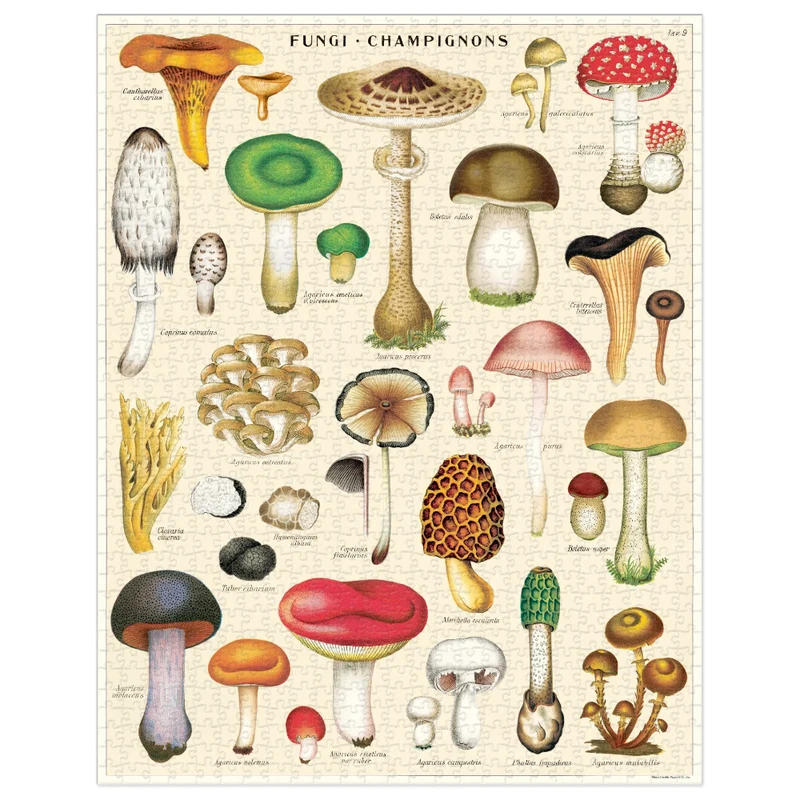 Mushrooms 1000 Piece Puzzle
