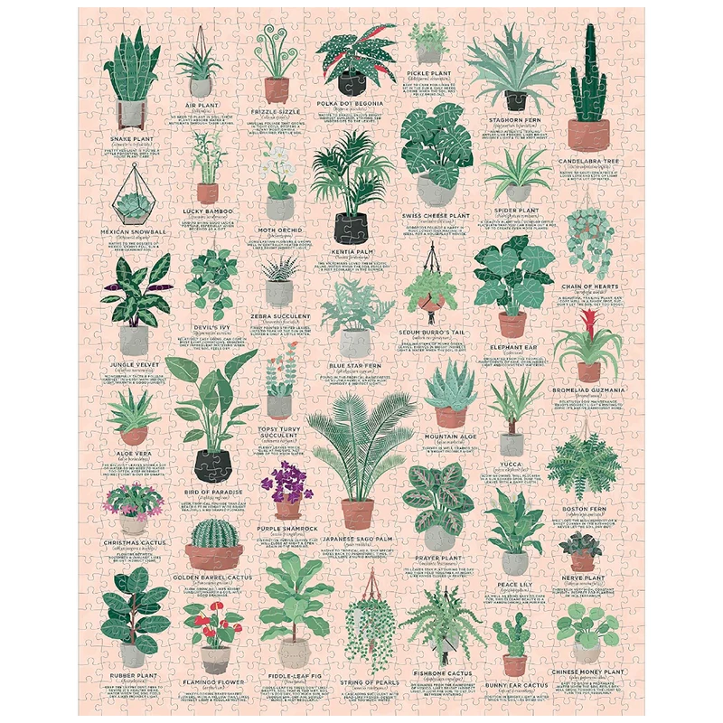 House Plants 1000 pc Puzzle