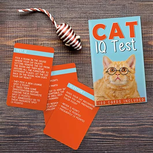 Cat IQ Test