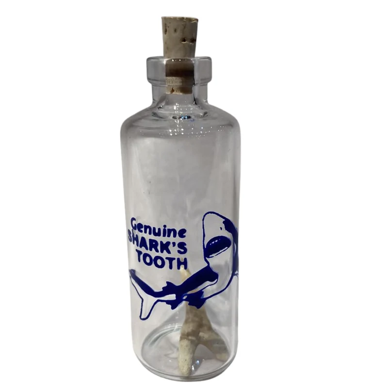 Shark Tooth in a Bottle