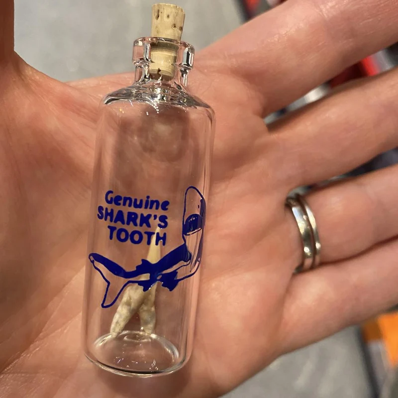 Shark Tooth in a Bottle
