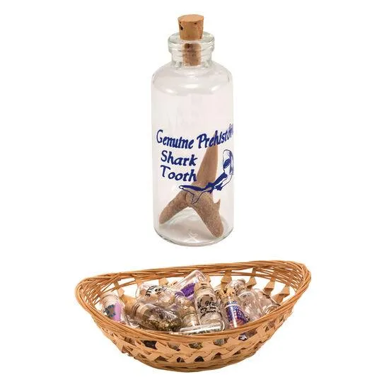 Shark Tooth in a Bottle