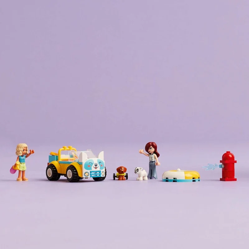 Dog-Grooming Car