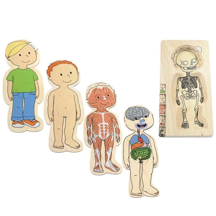 Hape Your Body Boy 5 Large Puzzle / Votre Corps Garçon 5 Grandes Pièces