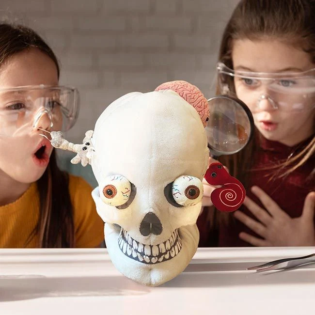 Deluxe Skull With Minis