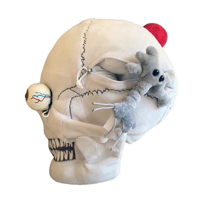 Deluxe Skull With Minis