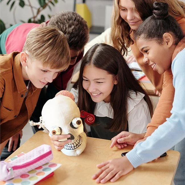 Deluxe Skull With Minis
