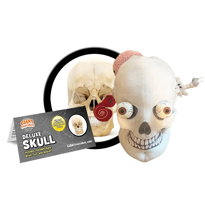 Deluxe Skull With Minis