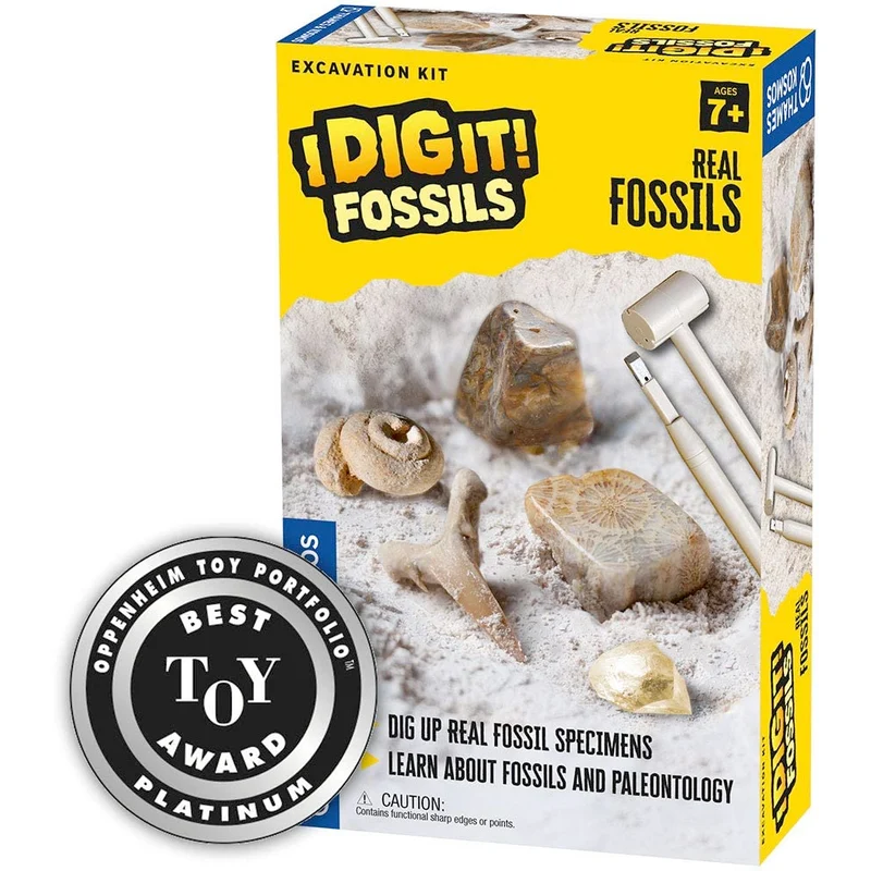 I Dig It! Fossils - Real Fossils Excavation Kit