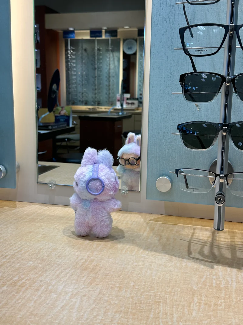 Labubu Glasses