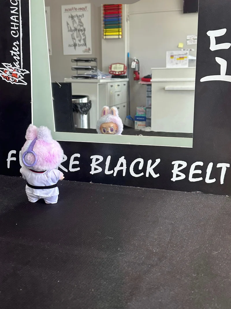 Labubu Taekwondo Outfit Black Belt