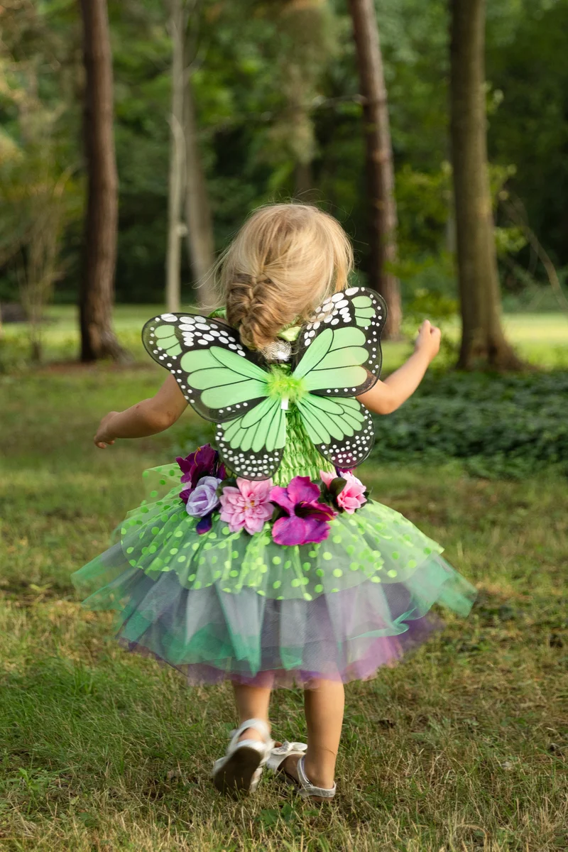 Pink Fairy Blooms Deluxe Costume Dress with Detachable Fairy Wings