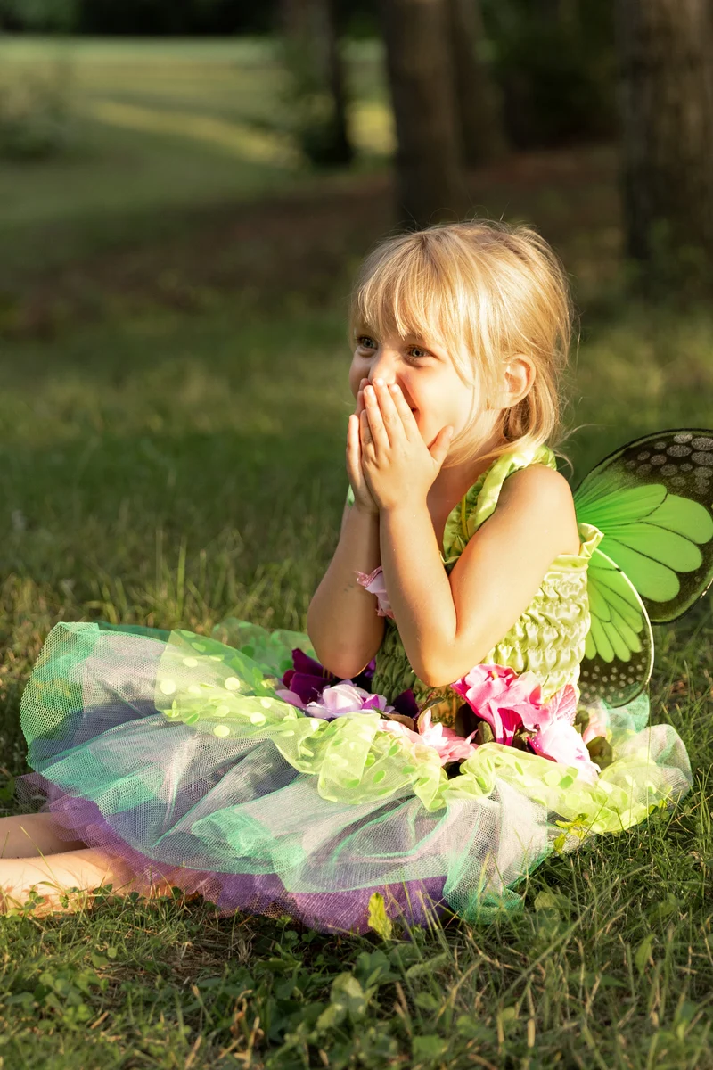 Pink Fairy Blooms Deluxe Costume Dress with Detachable Fairy Wings