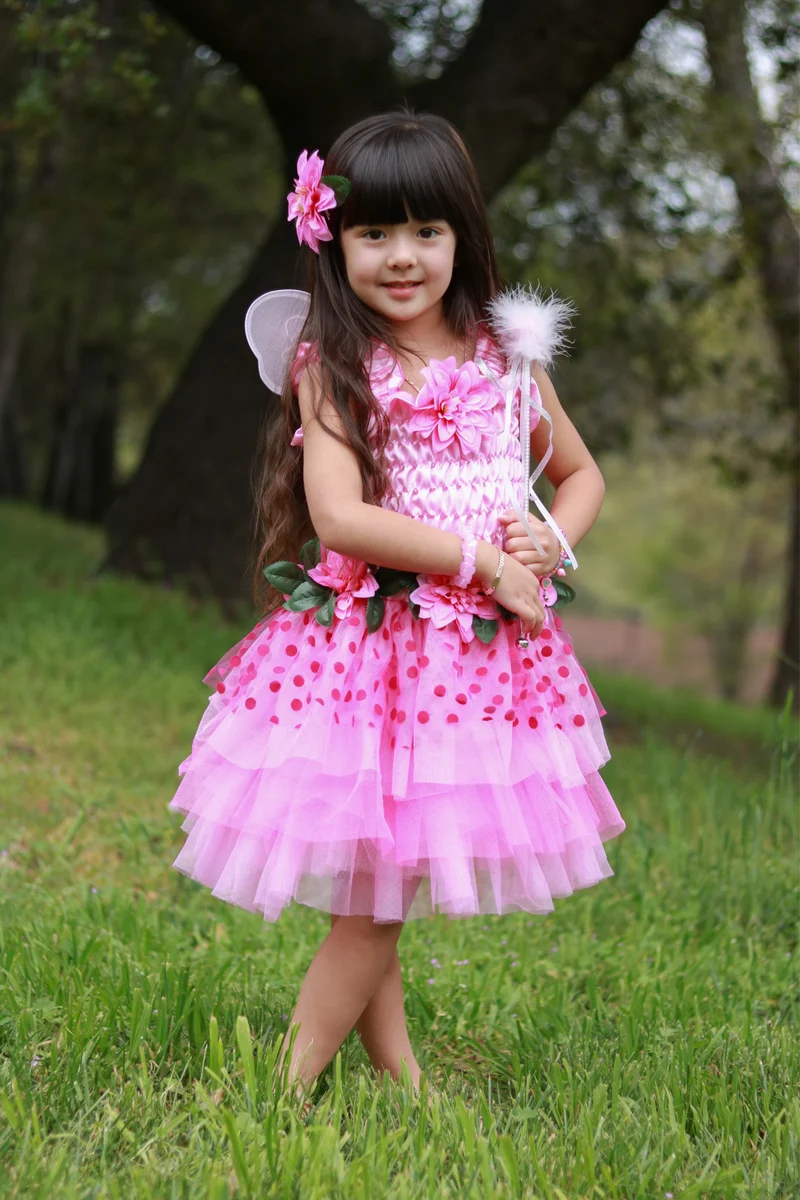 Pink Fairy Blooms Deluxe Costume Dress with Detachable Fairy Wings