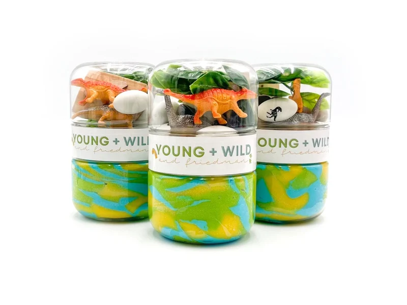Young Wild and Friedman Grab and Go Dough Dino