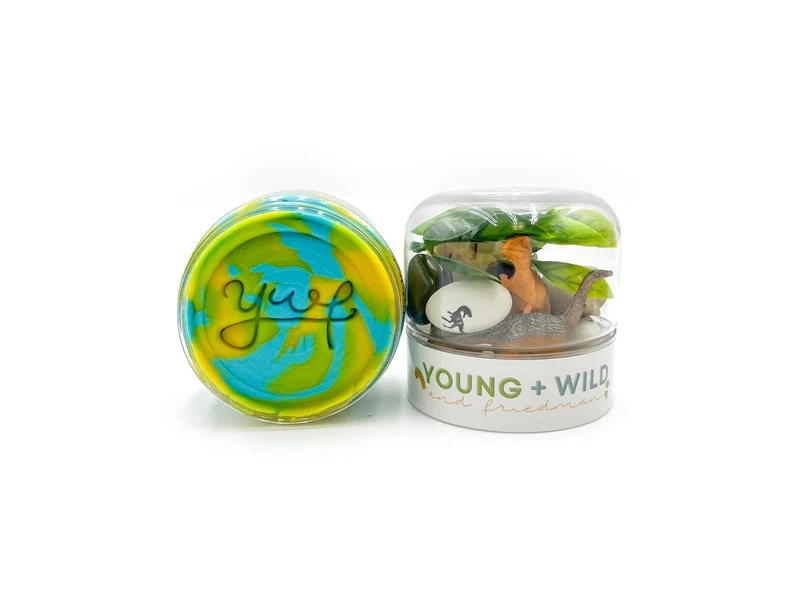Young Wild and Friedman Grab and Go Dough Dino