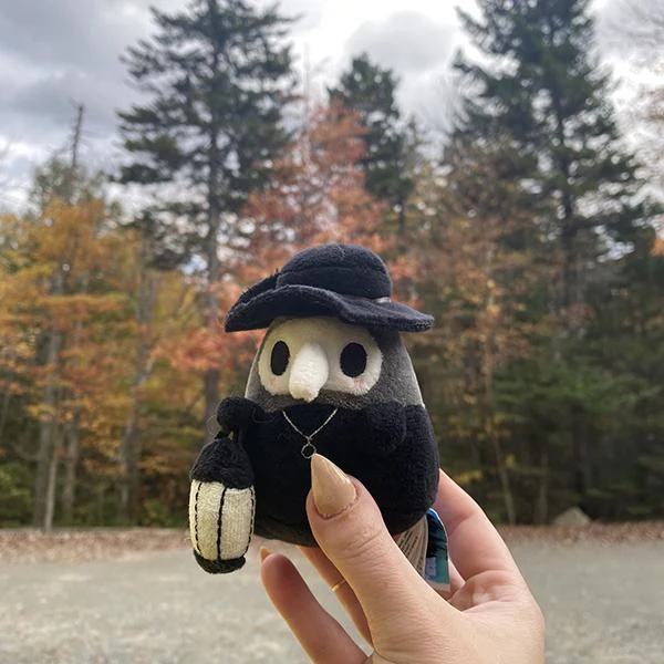 Micro Squishable Plague Doctor 3"