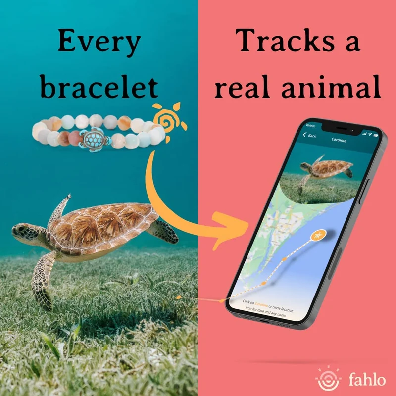 The Journey Sea Turtle Tracking Bracelet