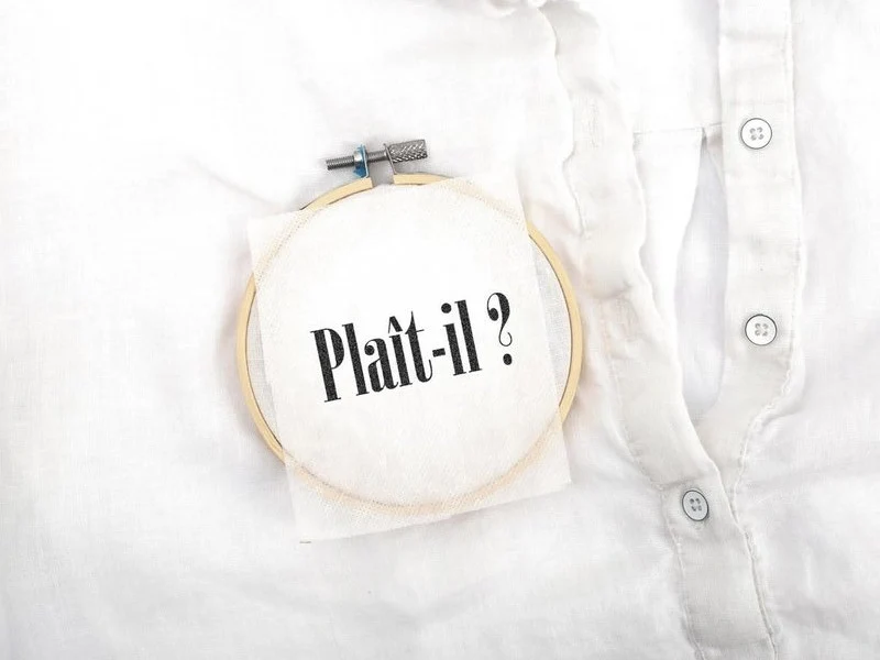 Kit de broderie sur vêtement - Fierce