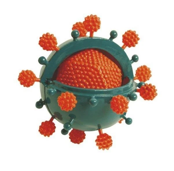 Bio Signs Virus Model / Modèle de virus