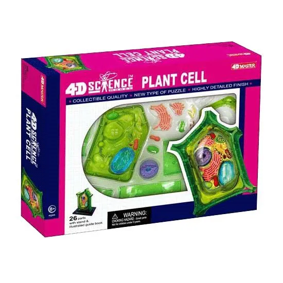 4D Anatomy Plant Cell Model / Modèle de cellule végétale anatomique