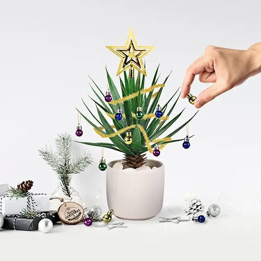 Festive Plant Baubles - Ornaments for your plants