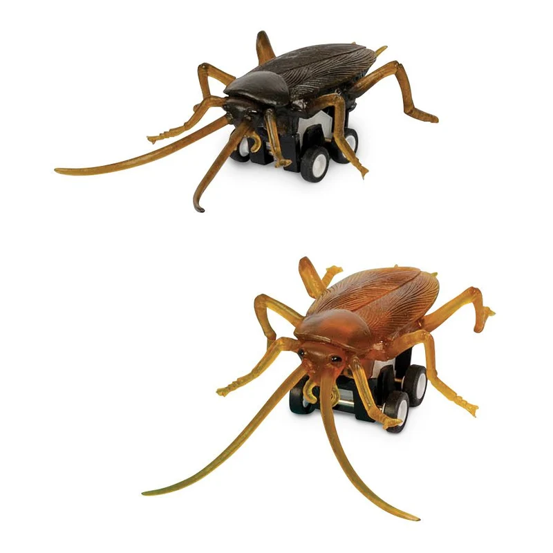 Racing Roach - 1 roach