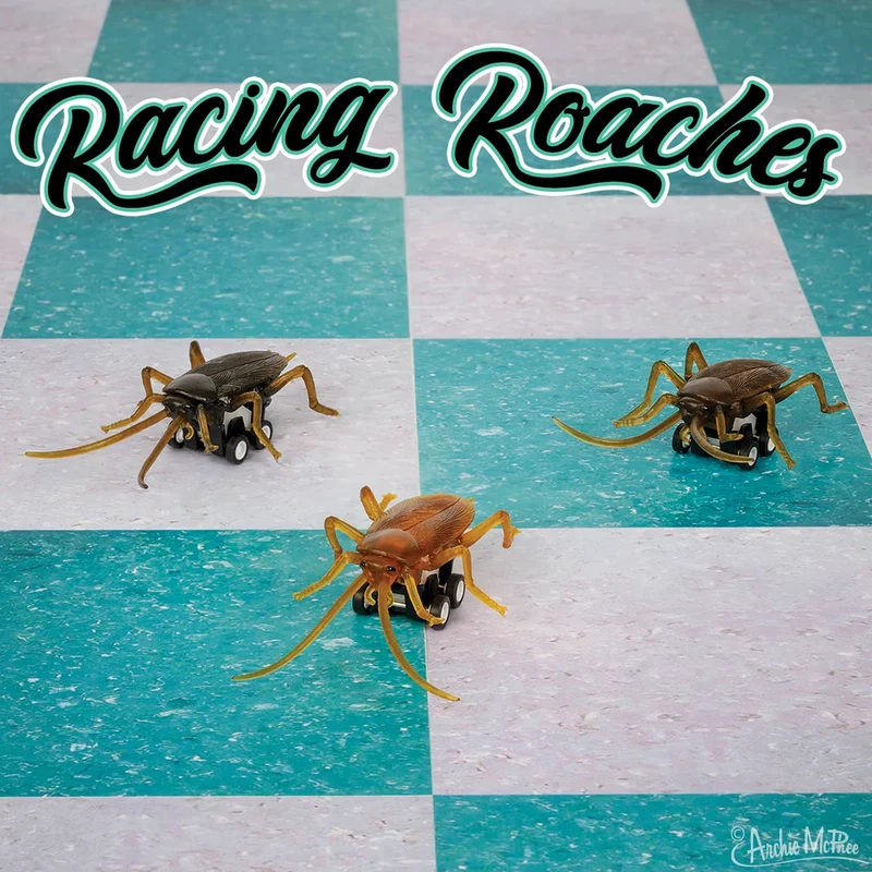Racing Roach - 1 roach