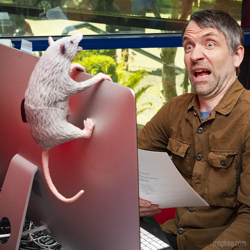Office Possum