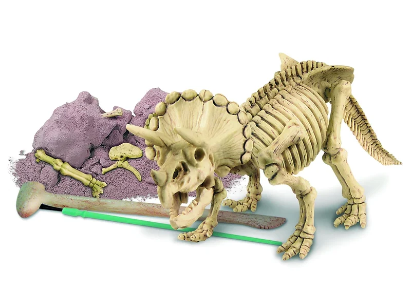 Kit DAM - Déterre ton dinosaure - Triceratops