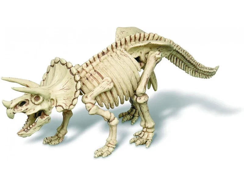 Kit DAM - Déterre ton dinosaure - Triceratops
