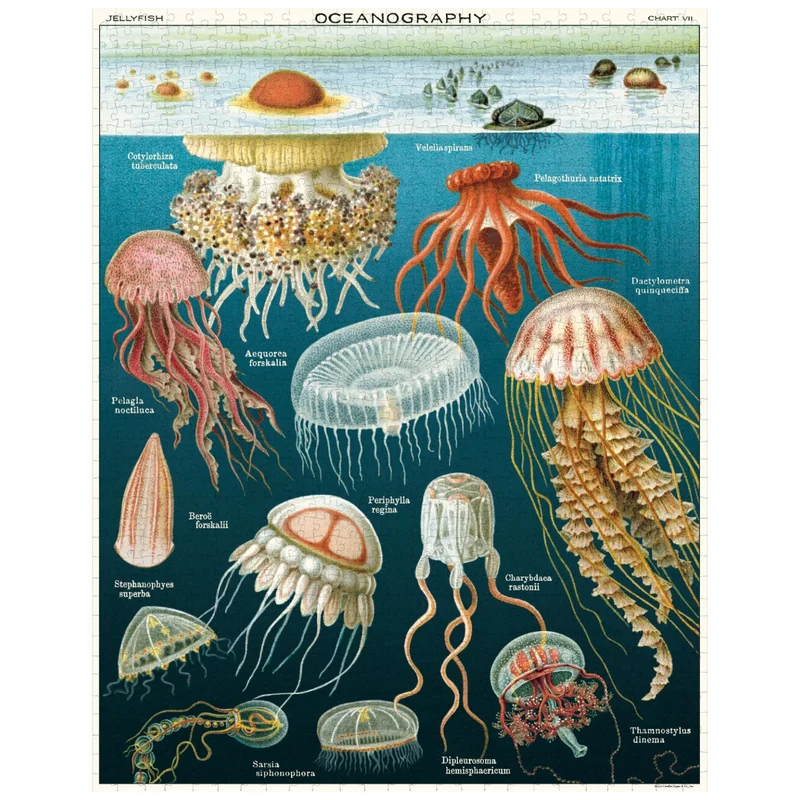 Jellyfish 1000 Pc Puzzle