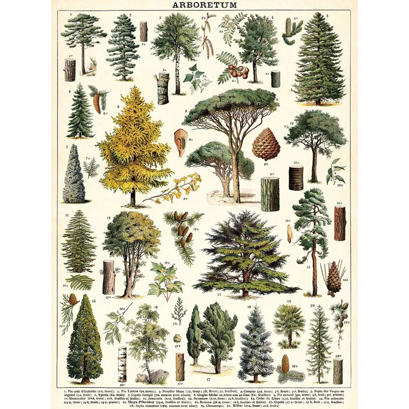Arboretum 1,000 Piece Puzzle